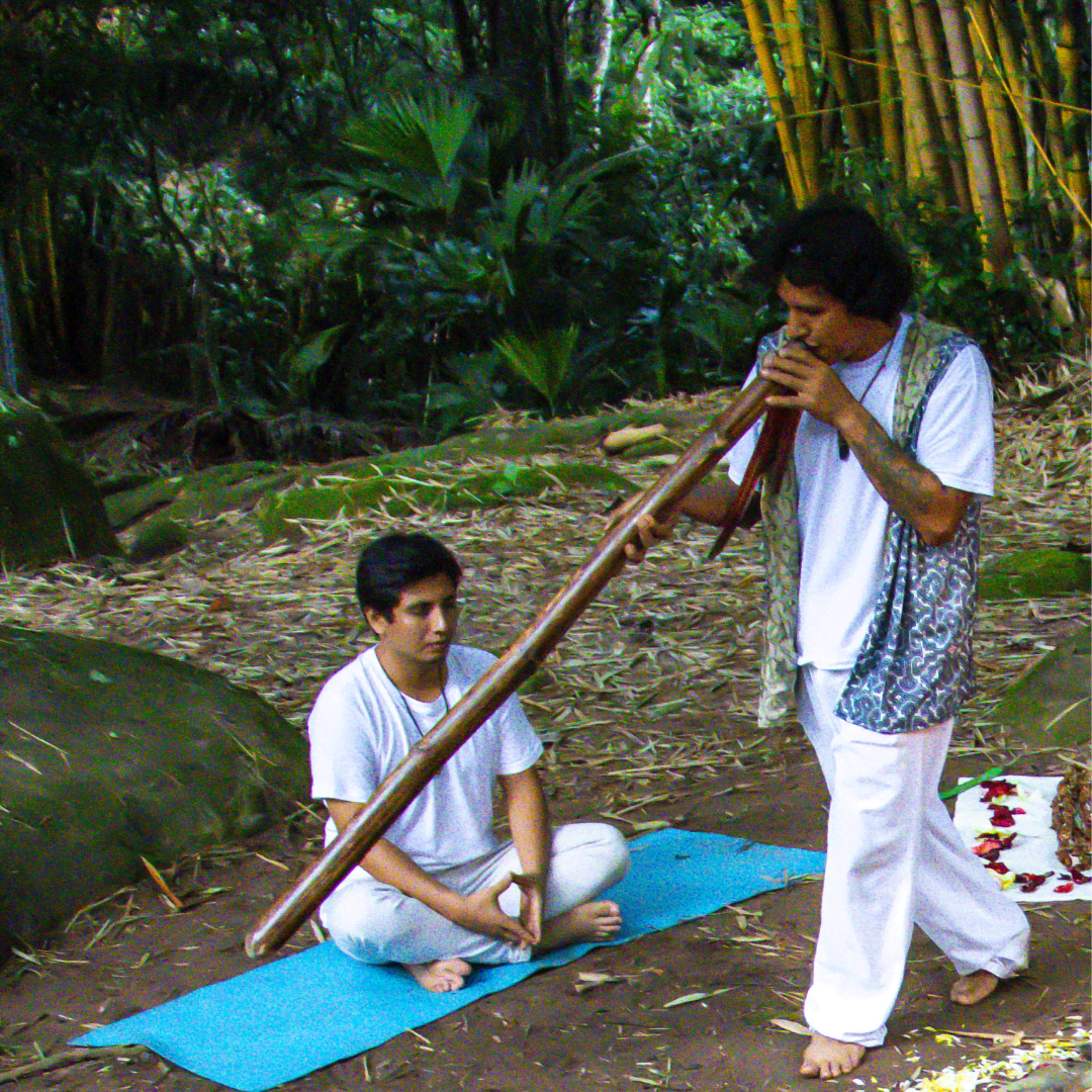 Sonoterapia