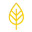 Leaf Icon